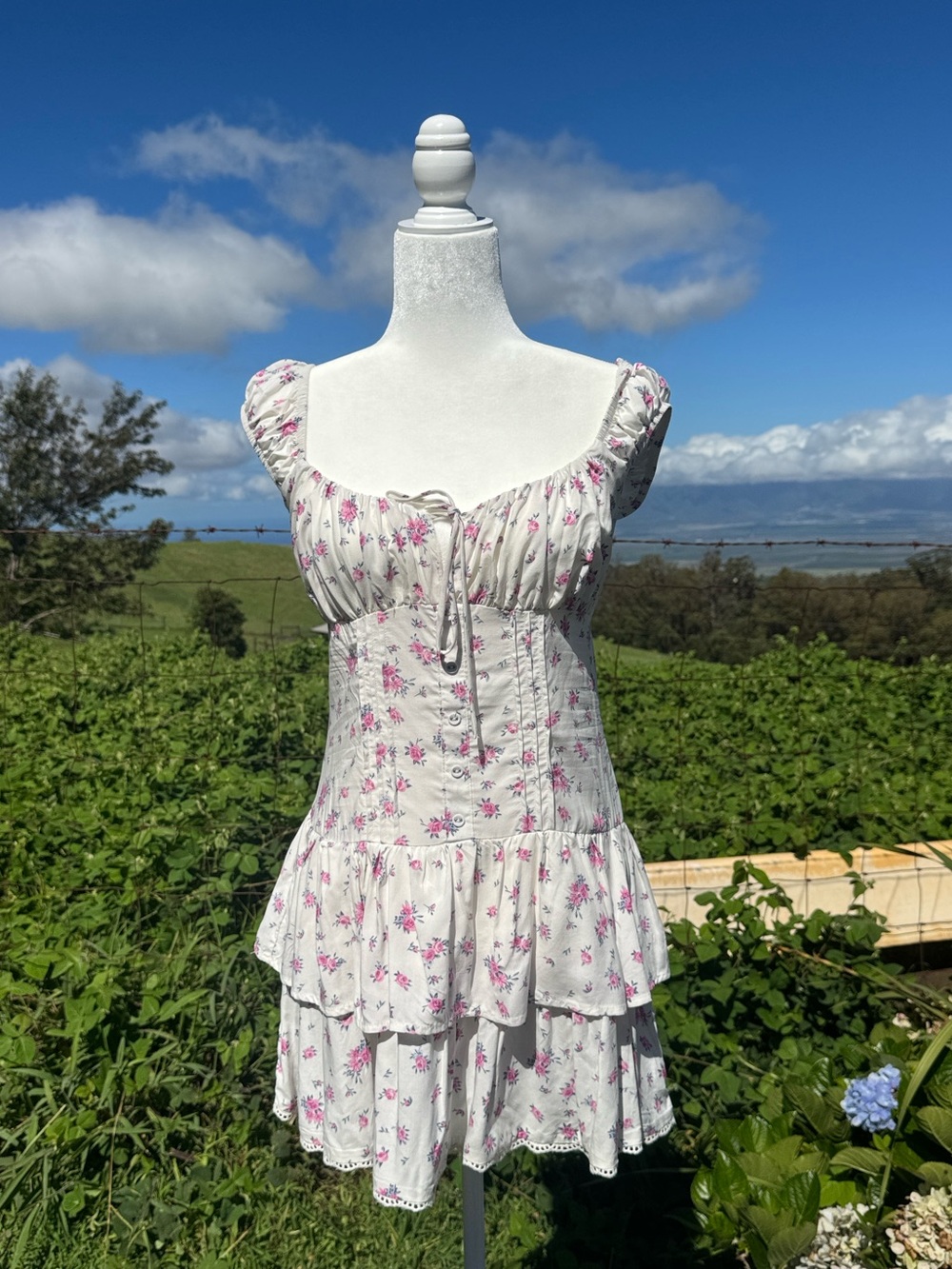 Feminine babydoll corset romantic floral ruffled mini dress Wild fable XS